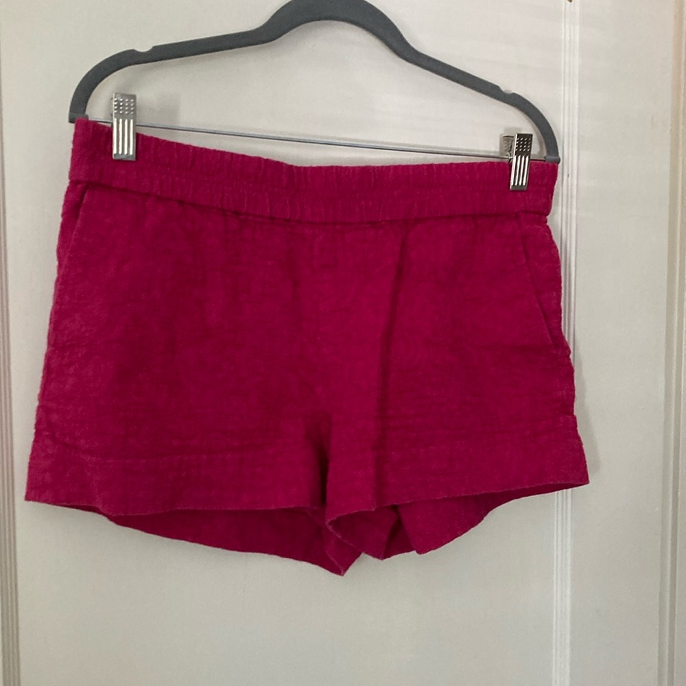 J Crew Pink Shorts Size 10